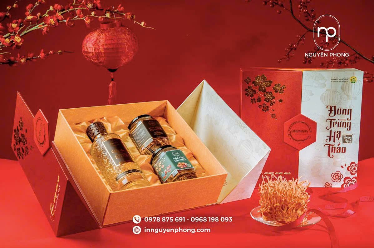 In hộp đông trùng hạ thảo bằng chất liệu sóng bồi cao cấp